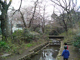 20100331102610.jpg